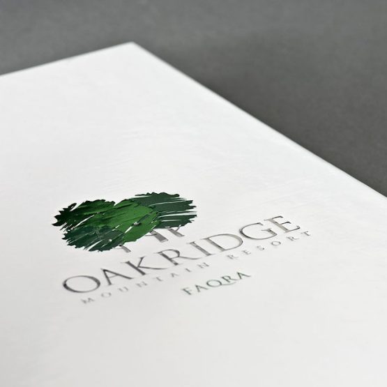 1oakridgemaindsc9540 55 1524048740