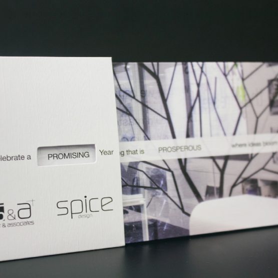 spicensag 35 1523375670