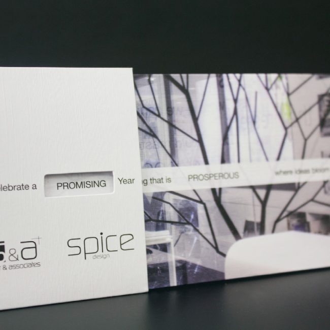 spicensag 35 1523375670