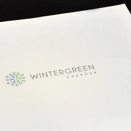 wintergreencover 60 1563444120