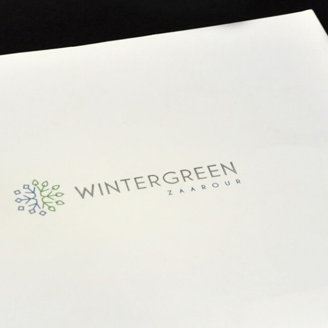 wintergreencover 60 1563444120