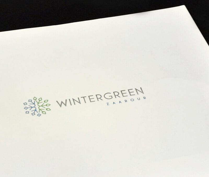 wintergreencover 60 1563444120